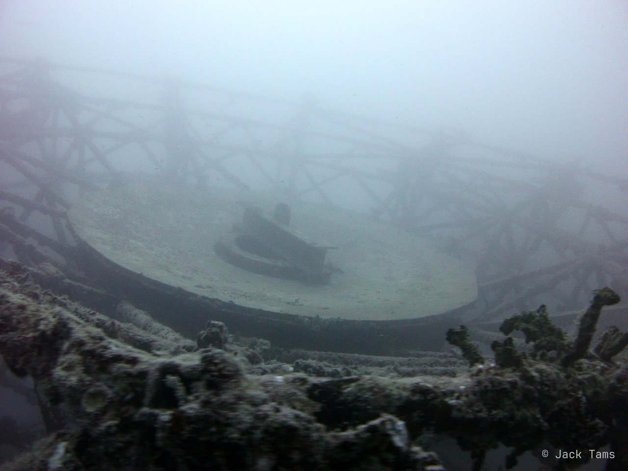 Into the dish