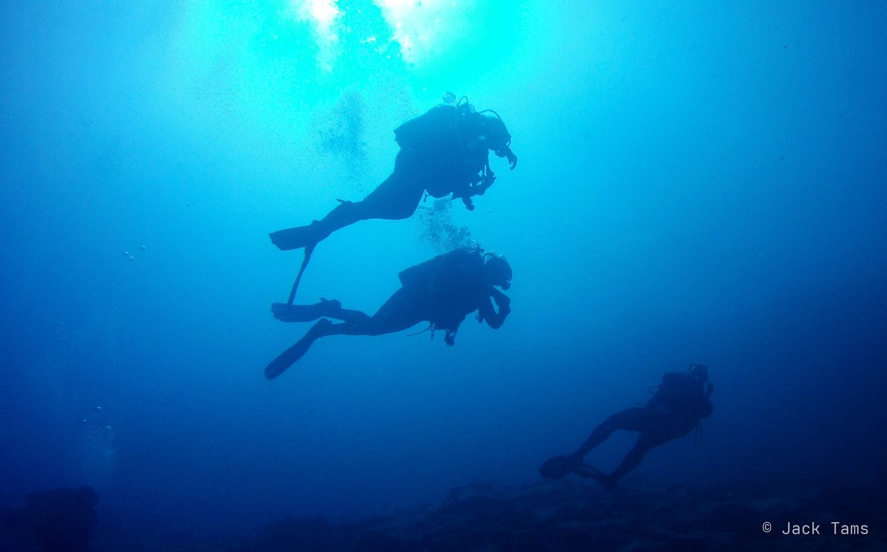 Divers in the blue