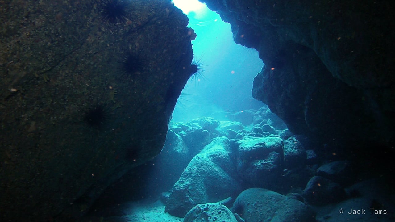 Swim-through