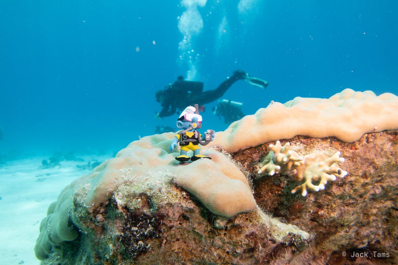 Dive buddy, wider