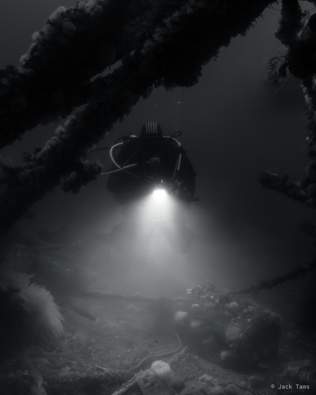 A diver's torch inside the wreck.