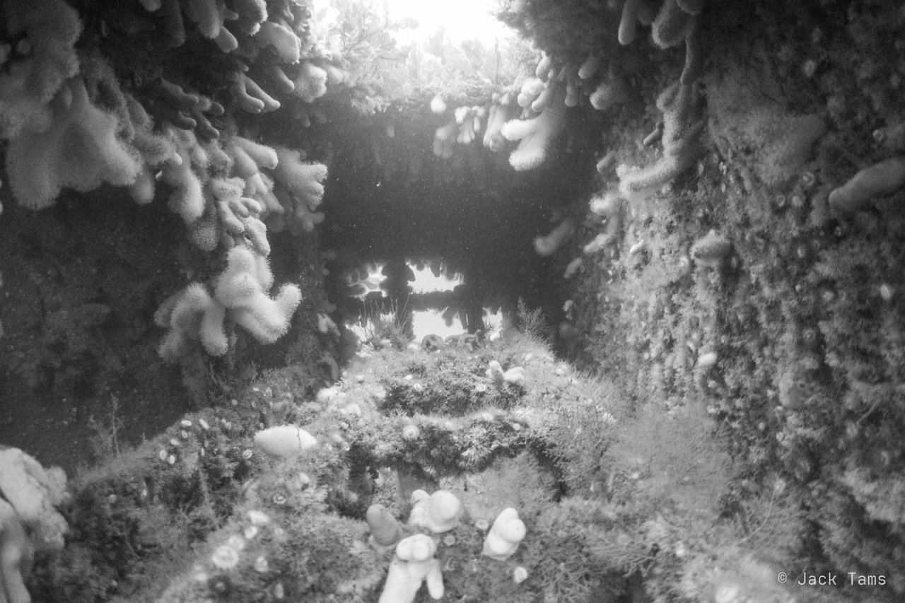 Looking out through the wreck, in black and white.