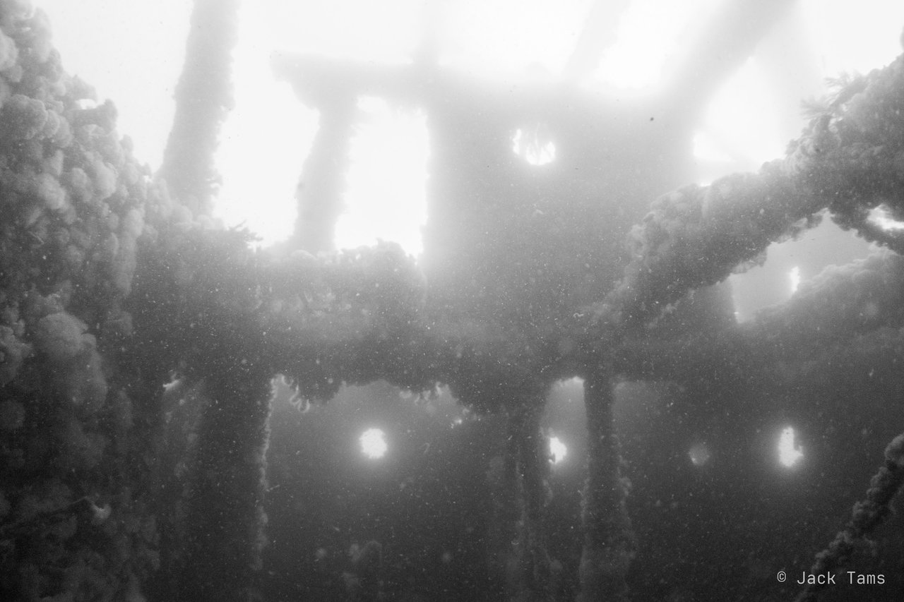 Wreck structure in black and white on the last dive.