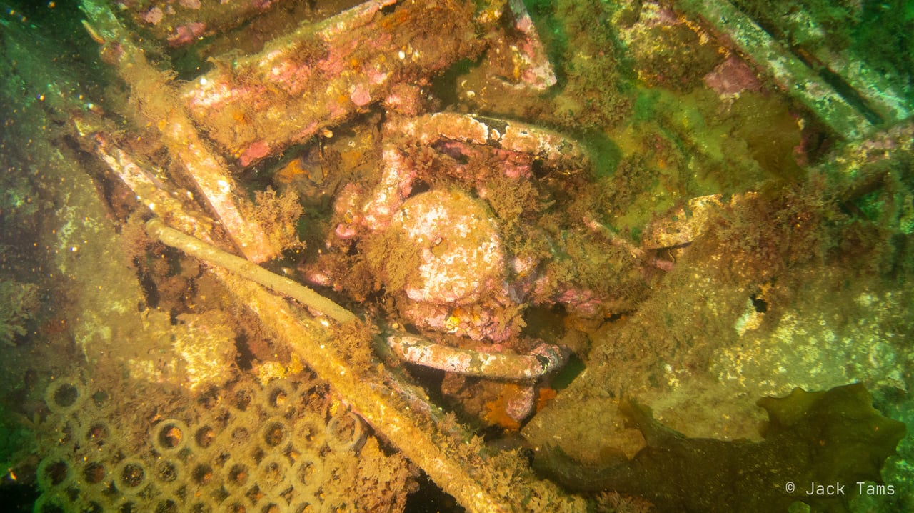Debris field