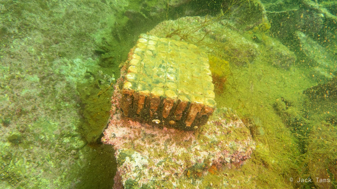 Ammunition crate