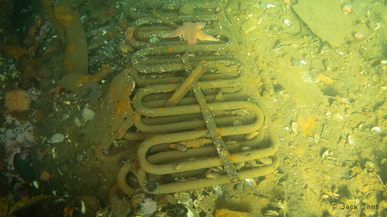 Coils