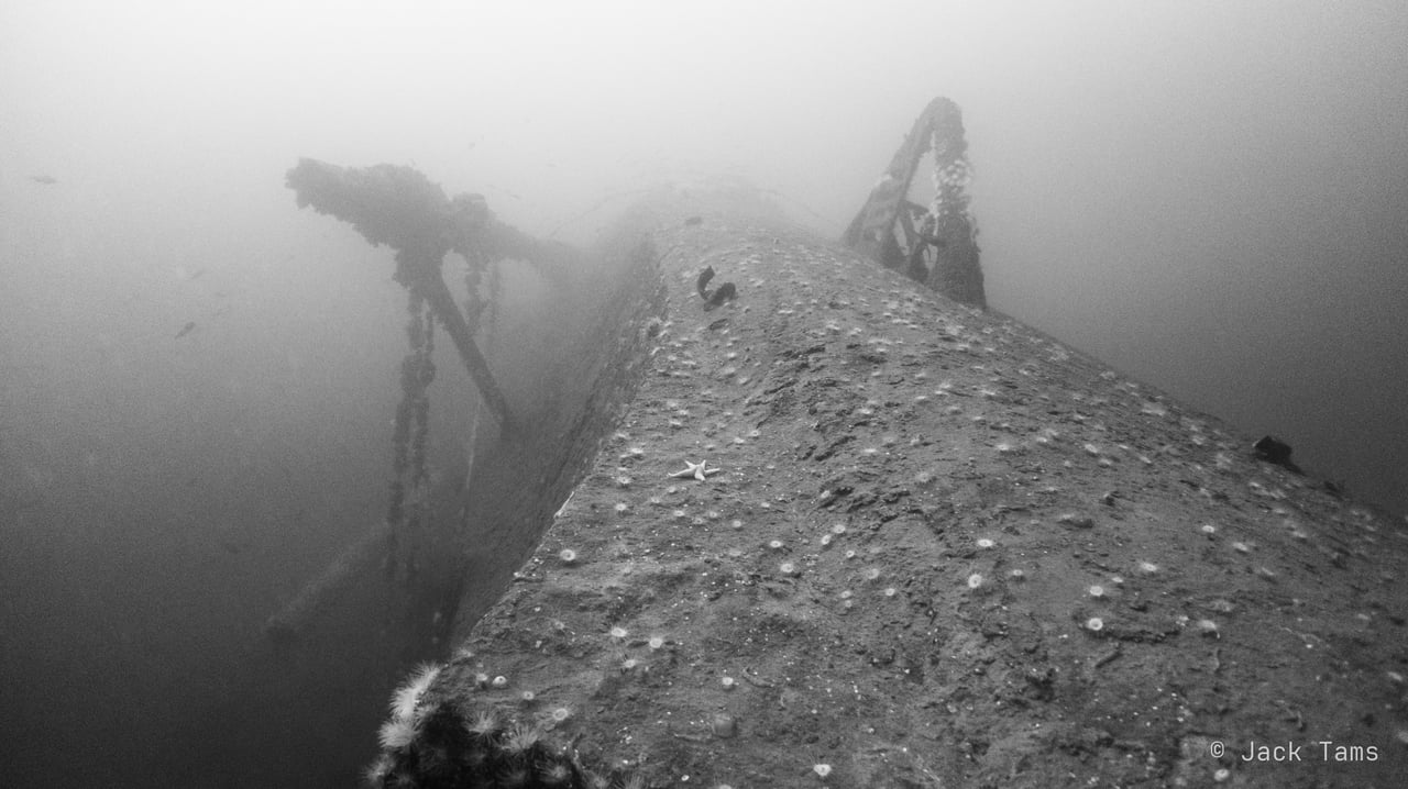 Looking up the Georg Thiele