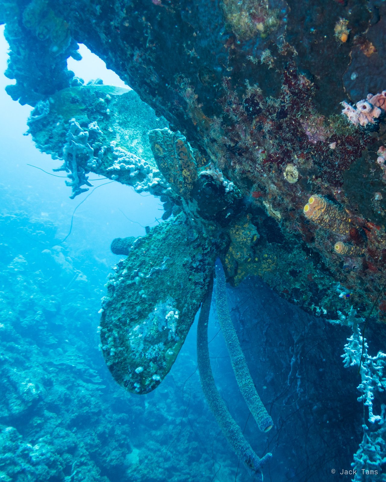 Hilma Hooker's propeller