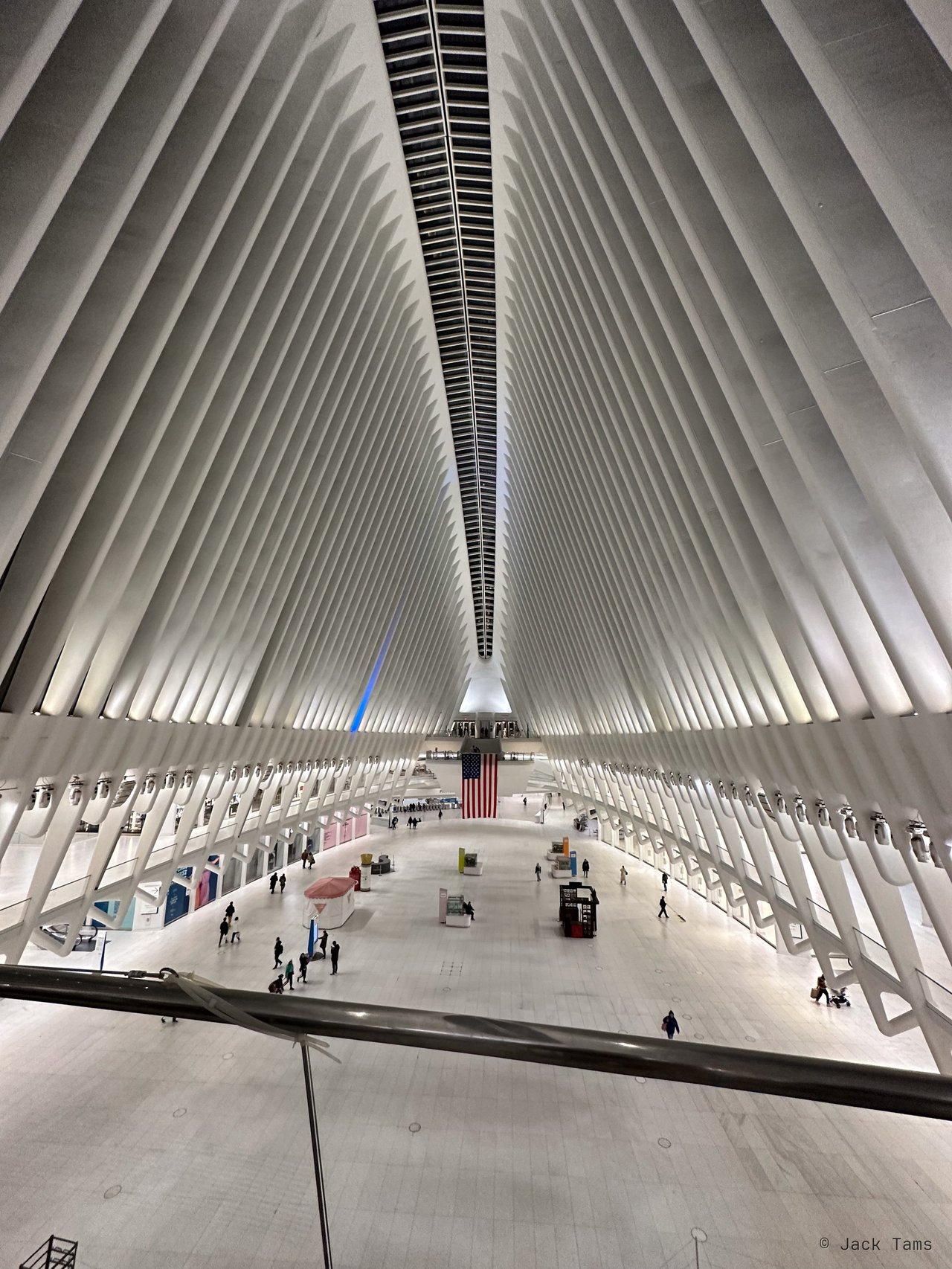 Inside the Oculus, the ribs of the roof overhead.