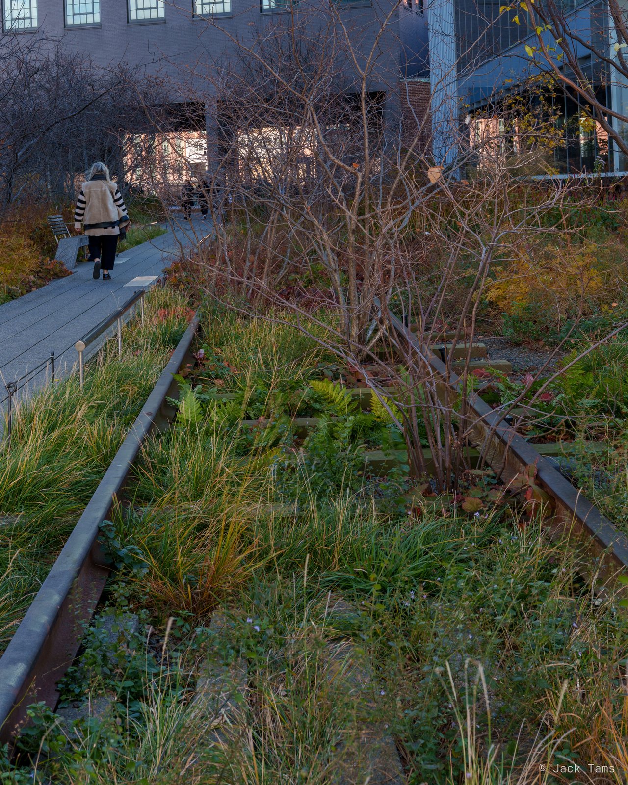 High Line
