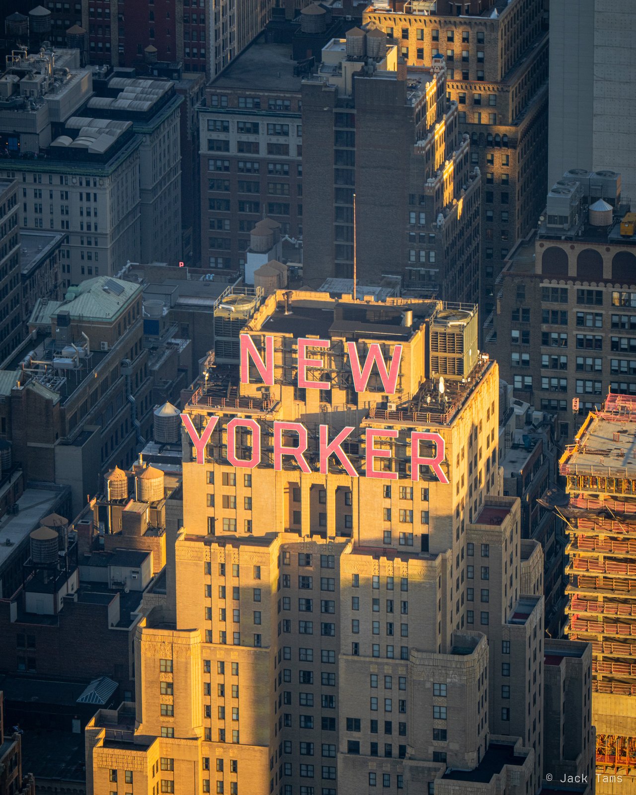 New Yorker