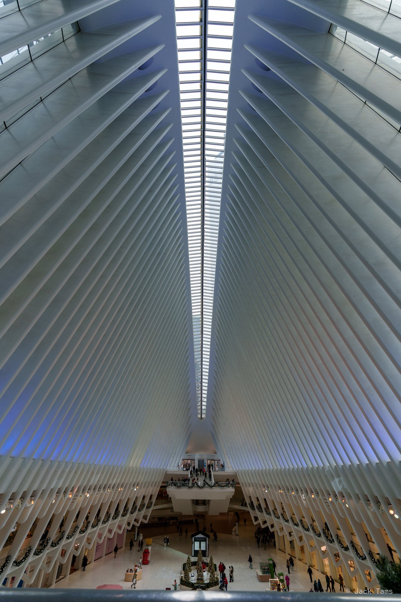 Oculus