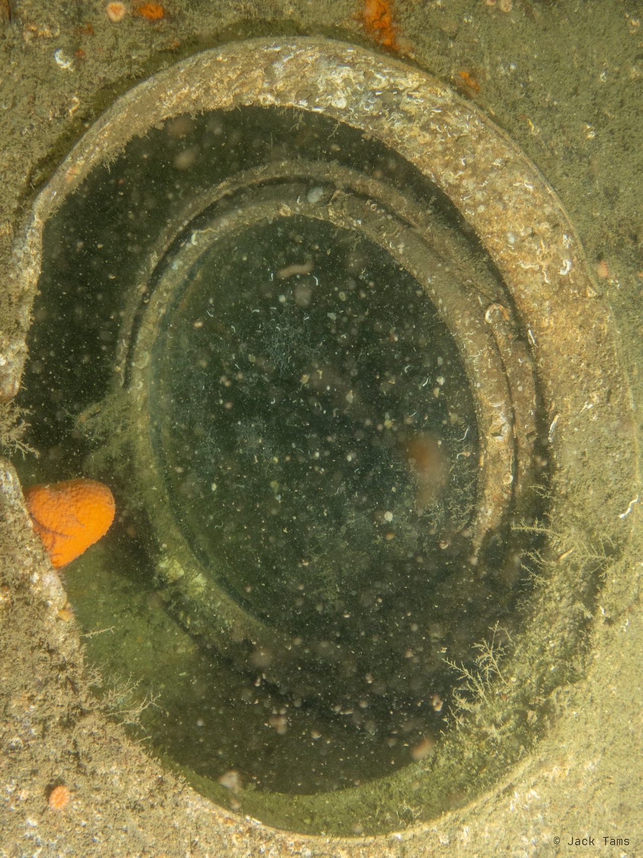 A porthole on a German wreck, its glass still in.