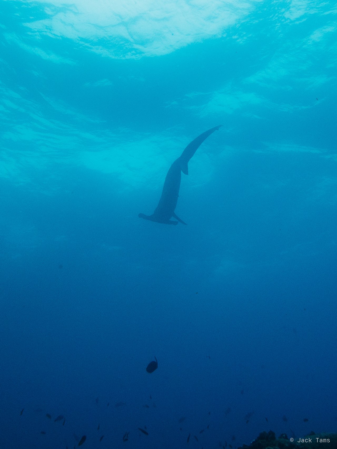 In the blue