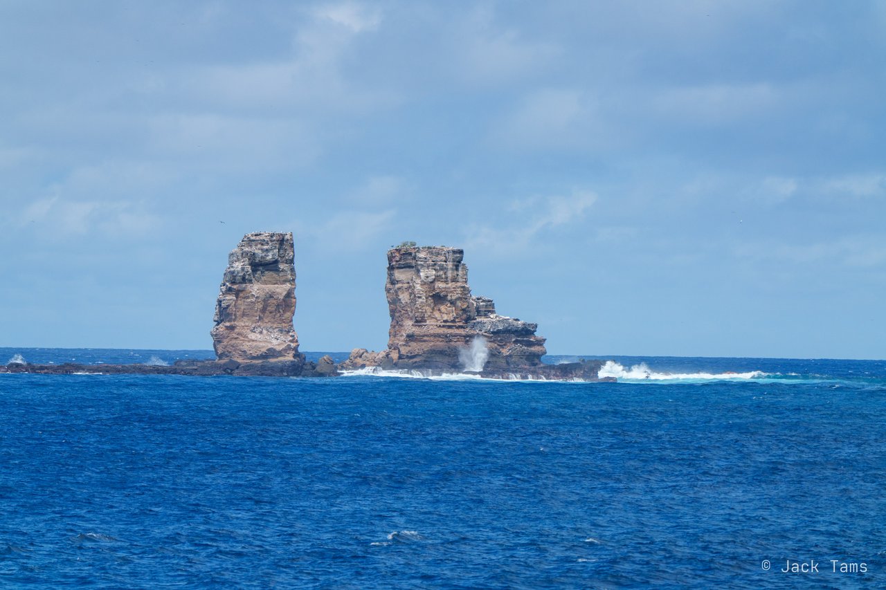 Darwin's pillars