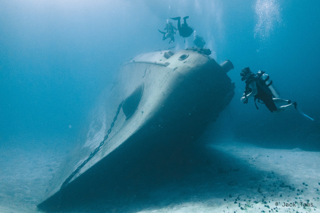 On the Kittiwake