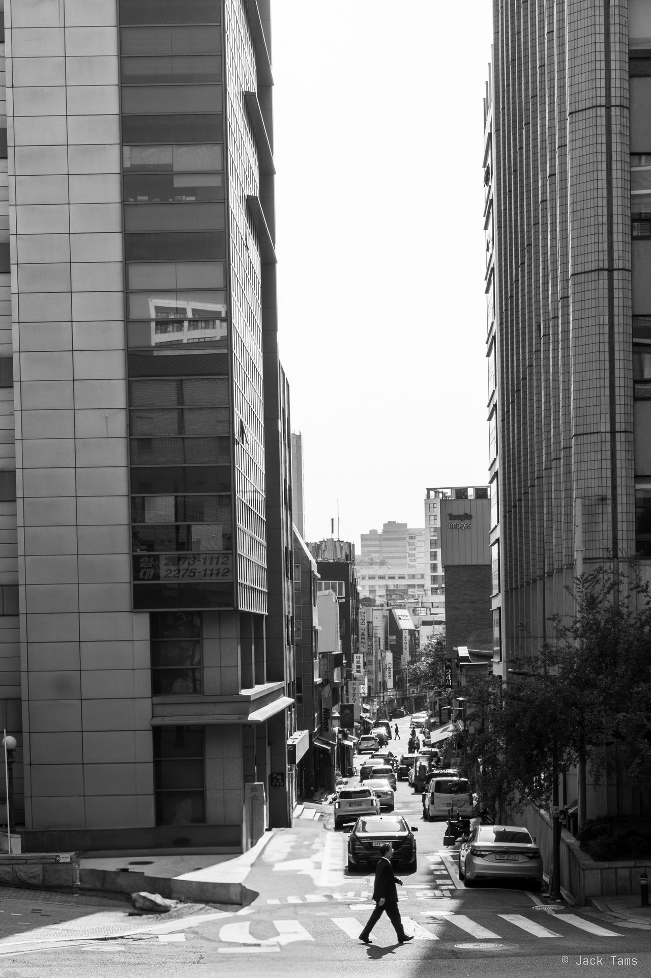 Morning crossing