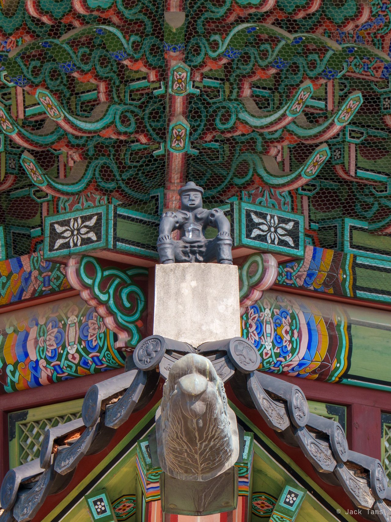 Roof guardian