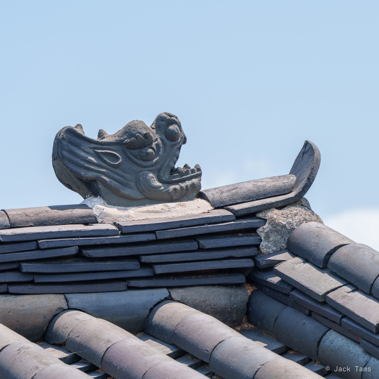 Dragon on the roof