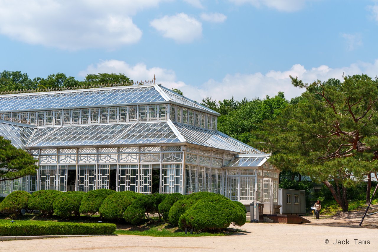 The glasshouse
