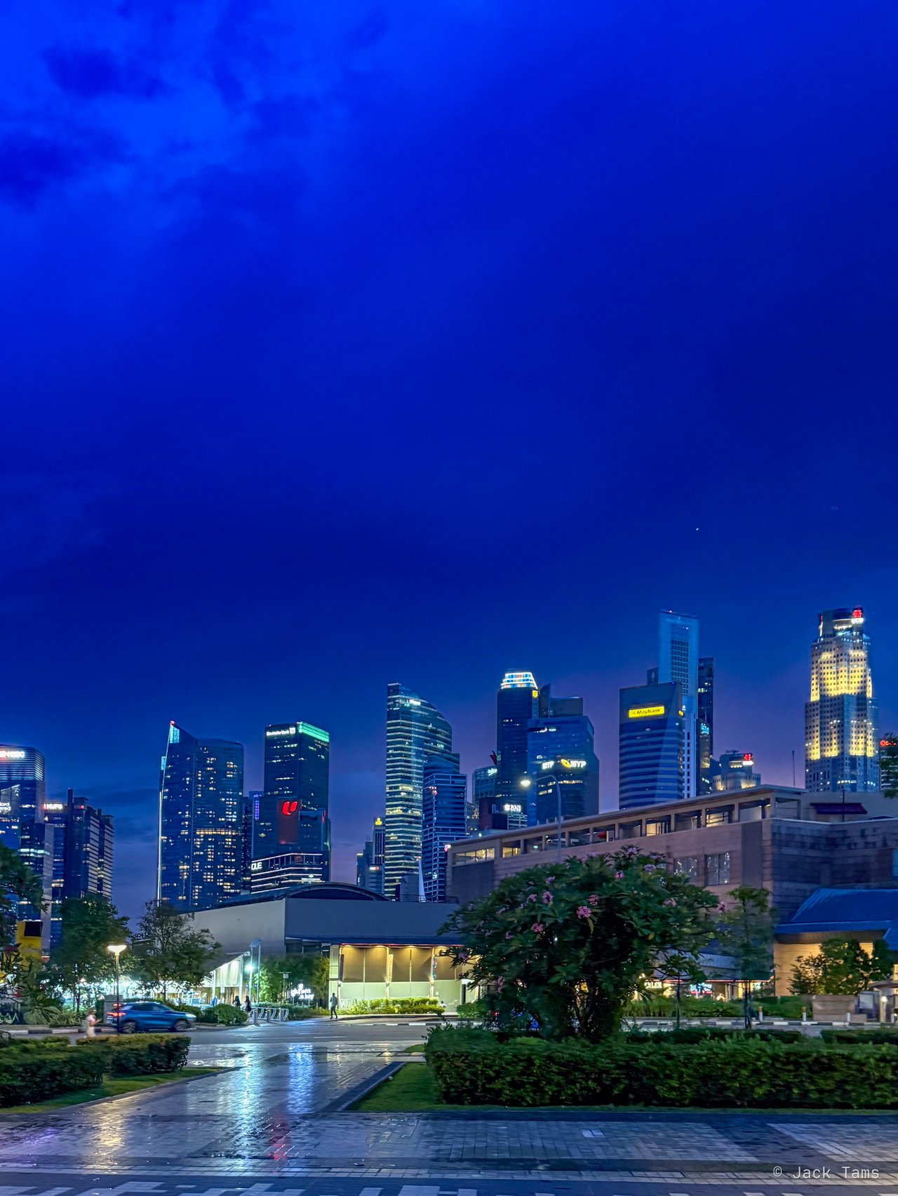 The skyline at blue hour.