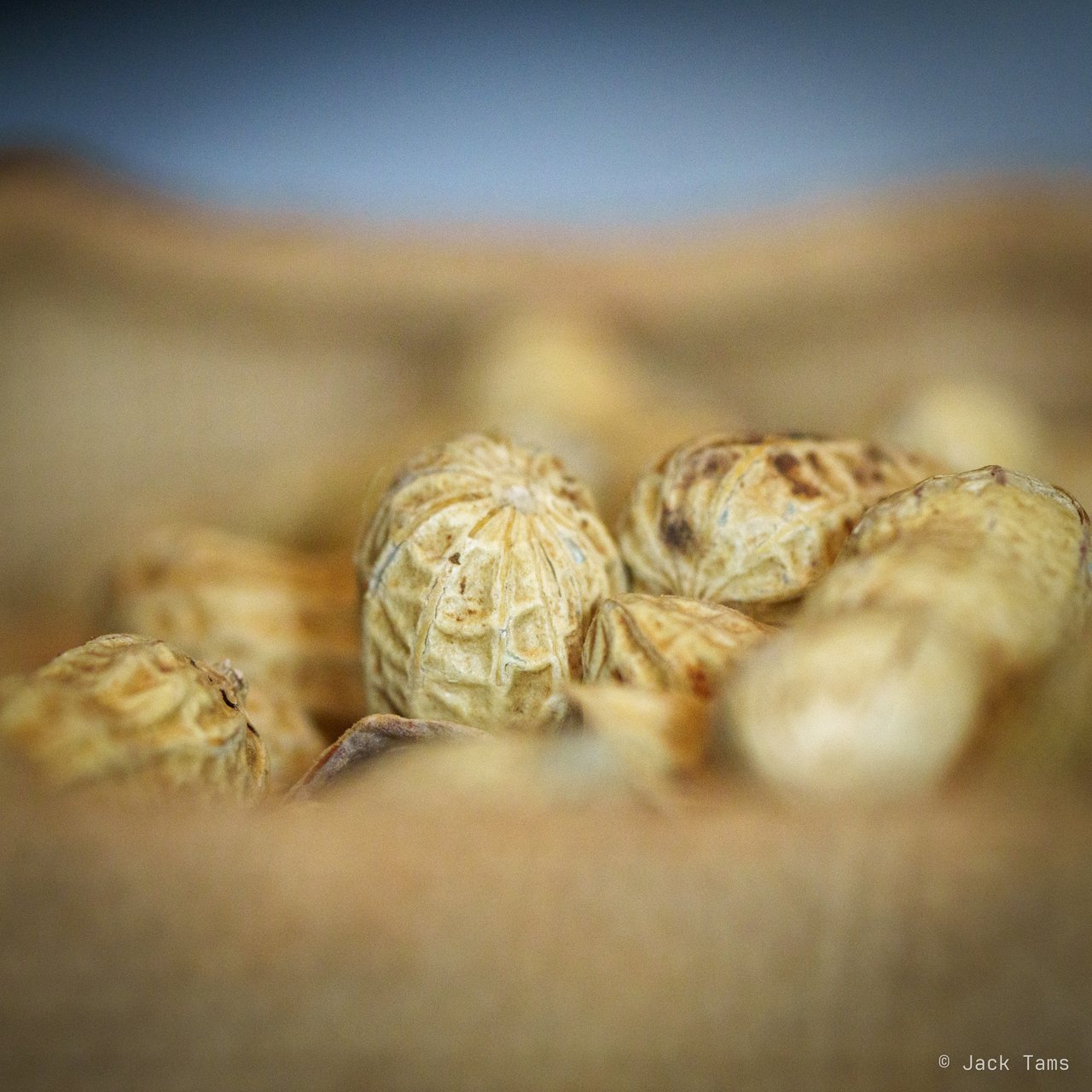 Peanuts in their shells at the Long Bar.