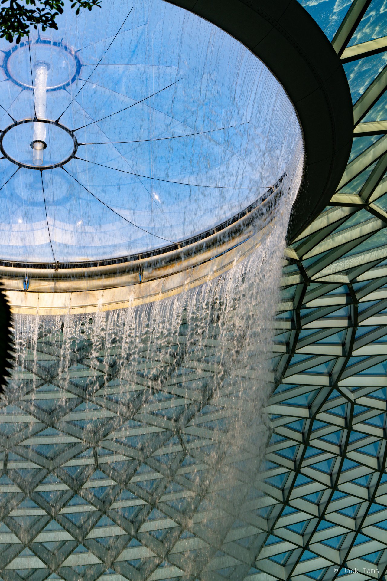 Looking up into the Rain Vortex's glass dome.