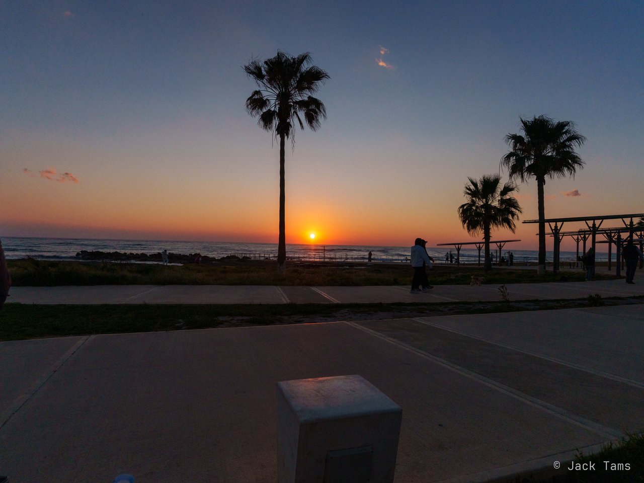 Sunset through the palms on the Paphos seafront.