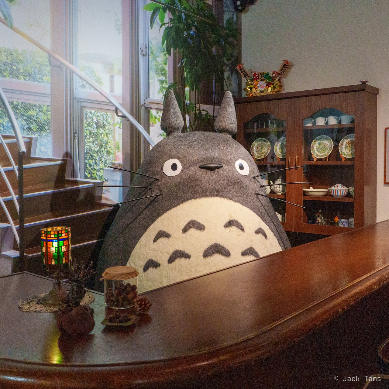 Totoro at the counter