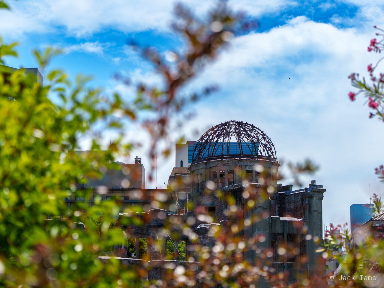 The dome through the trees