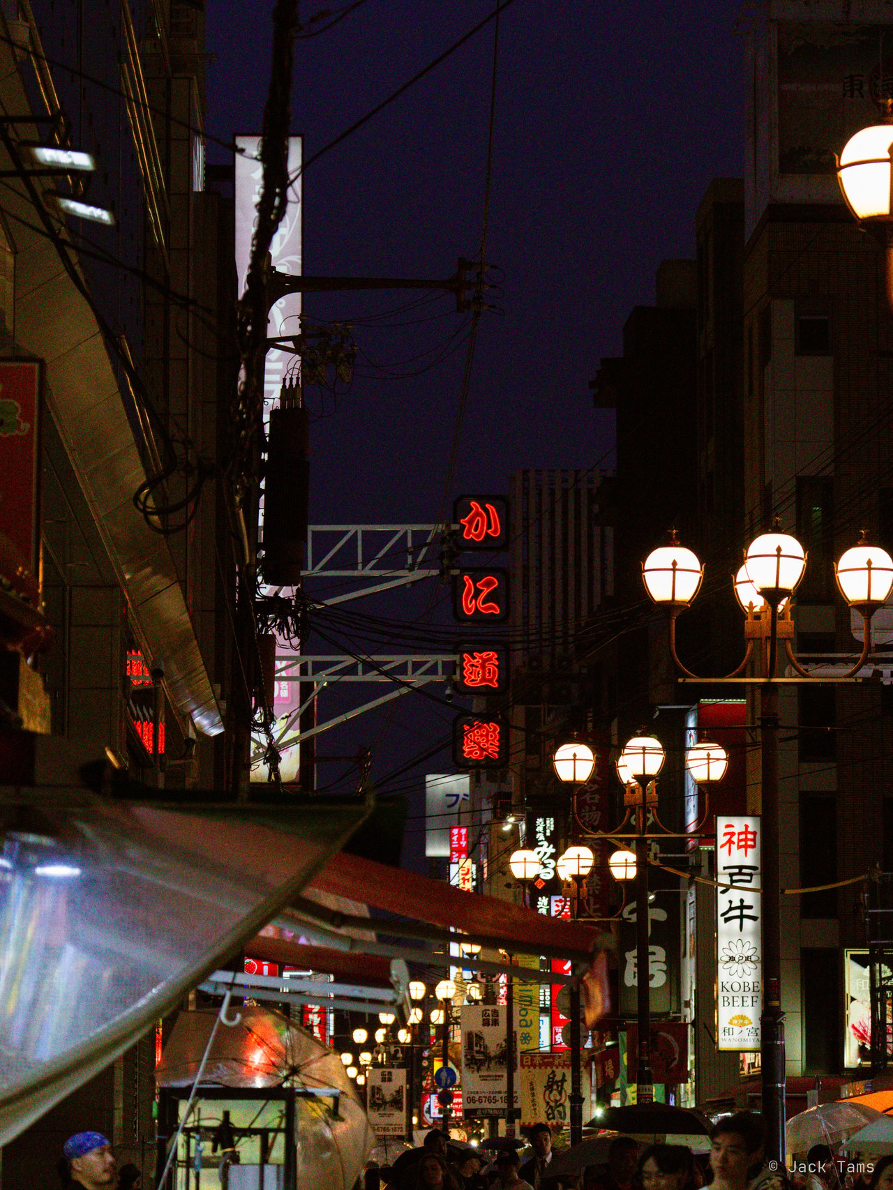 Dotonbori nights