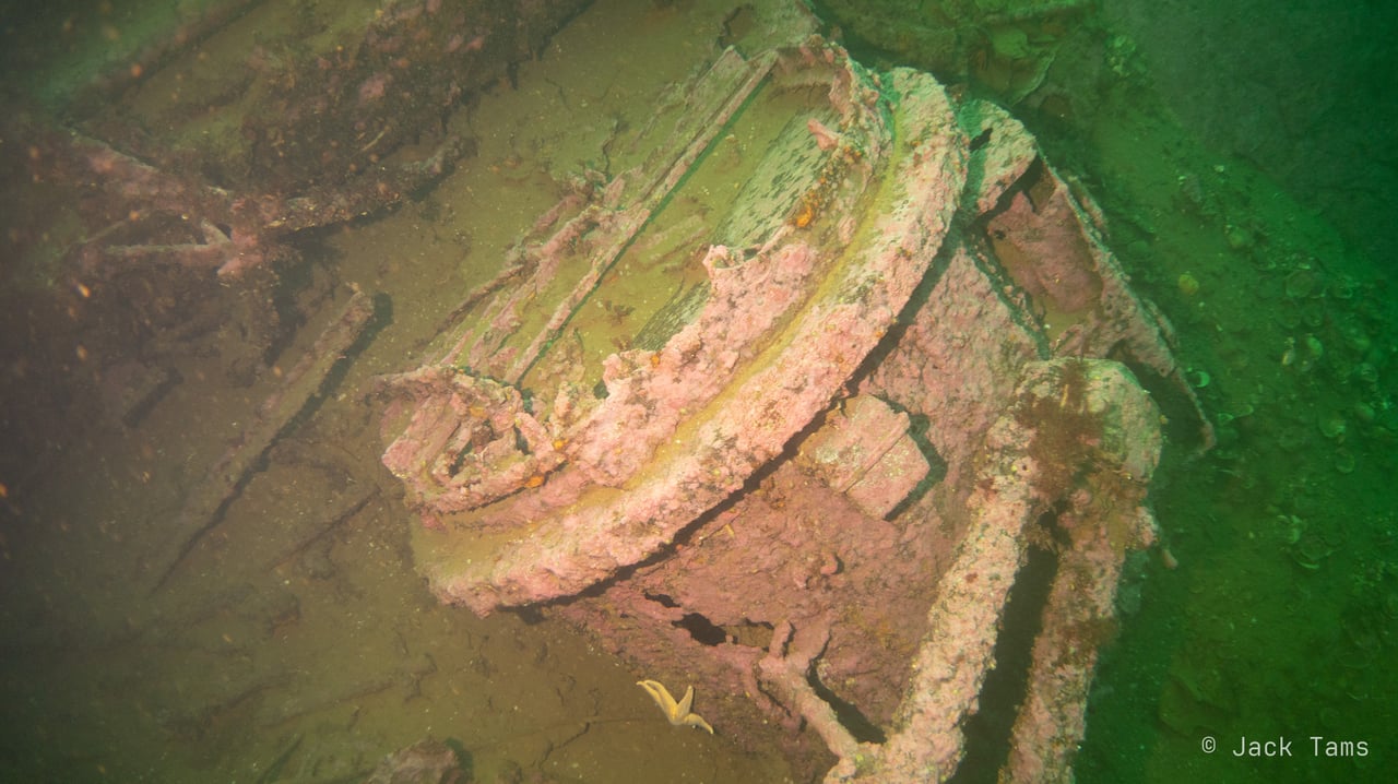 A signal lamp on the wreck, furred with growth, its louvres broken.