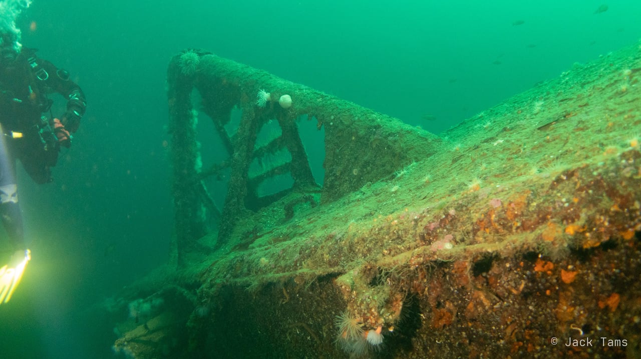 A lattice structure on the way down the wreck, a diver alongside.