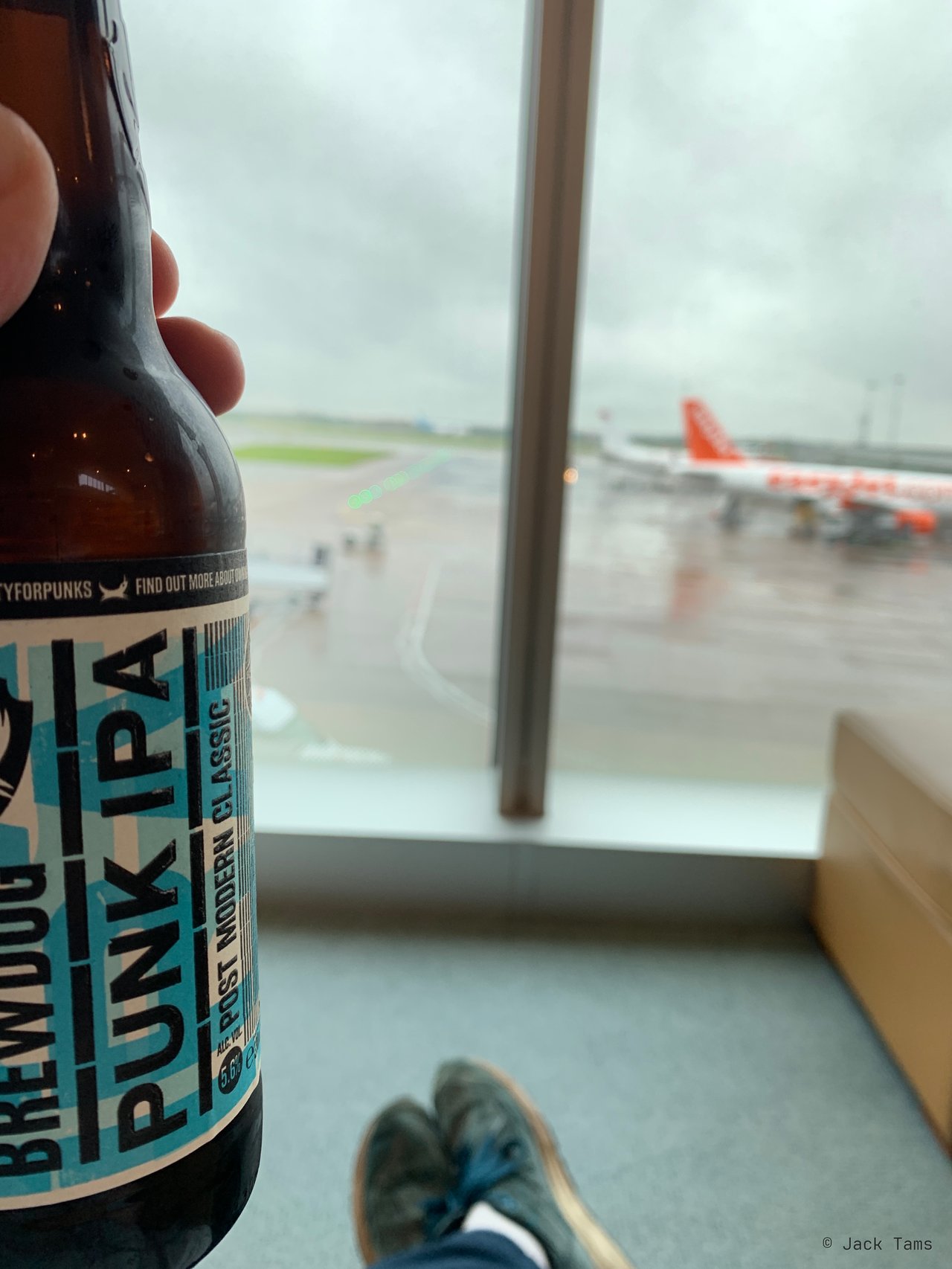 A BrewDog Punk IPA by the lounge window.