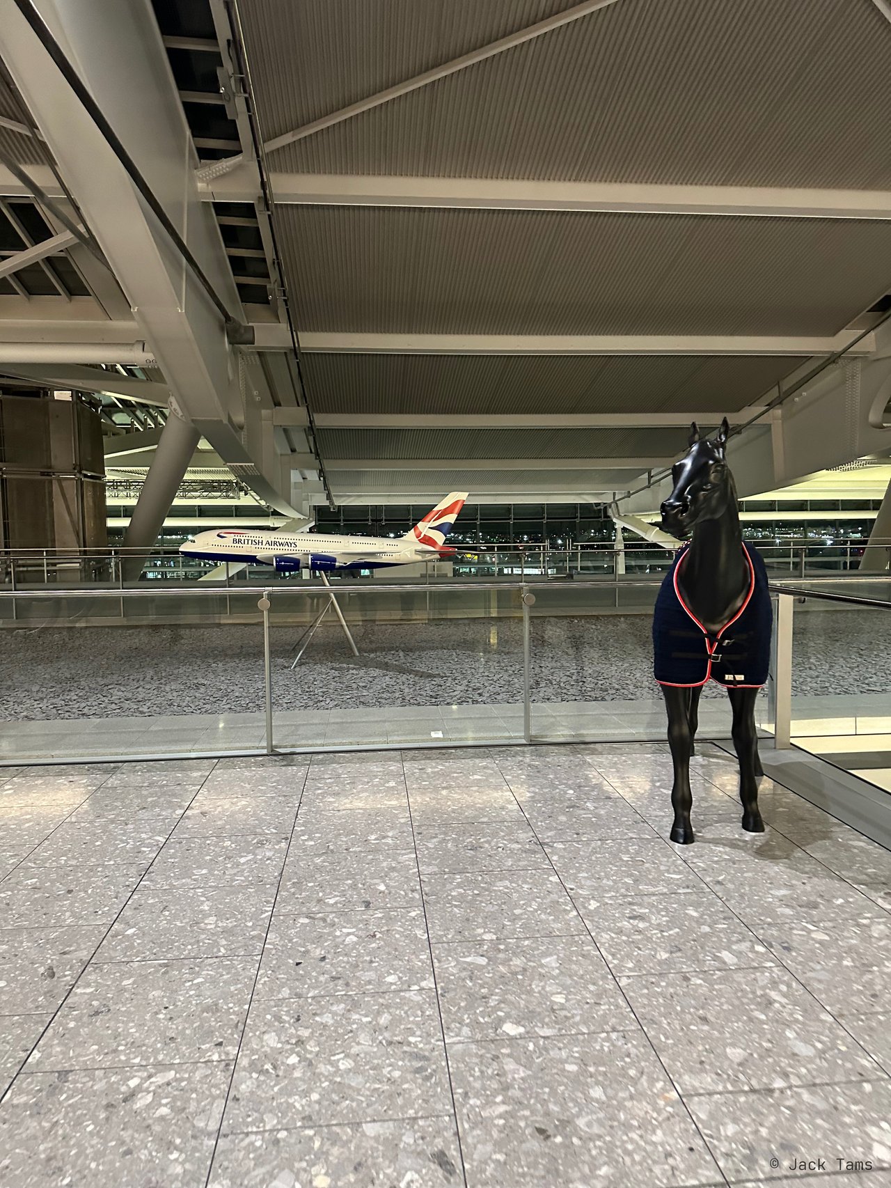 A BA tail beyond the glass at Terminal 5.