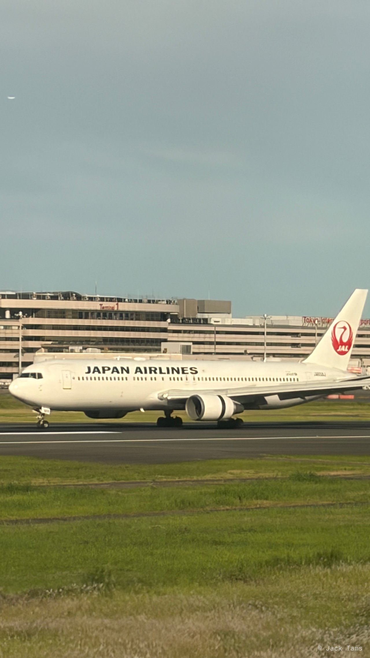 A JAL 767 at Haneda after landing.