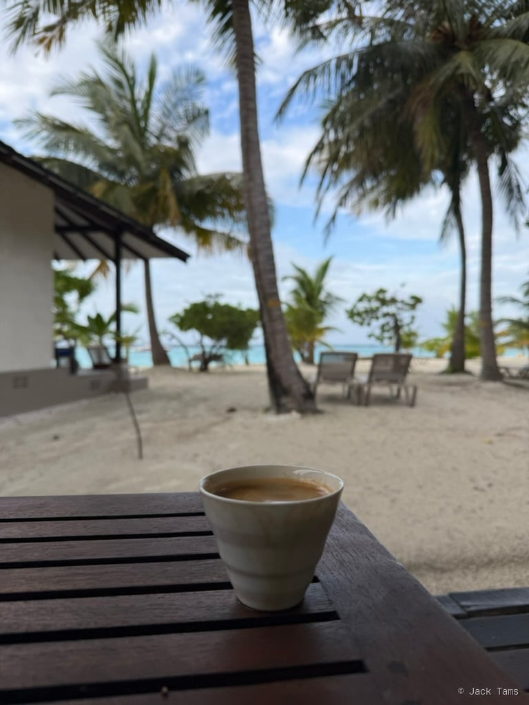 Coffee cup on a wooden table, with a Maldives beach and palm trees behind it