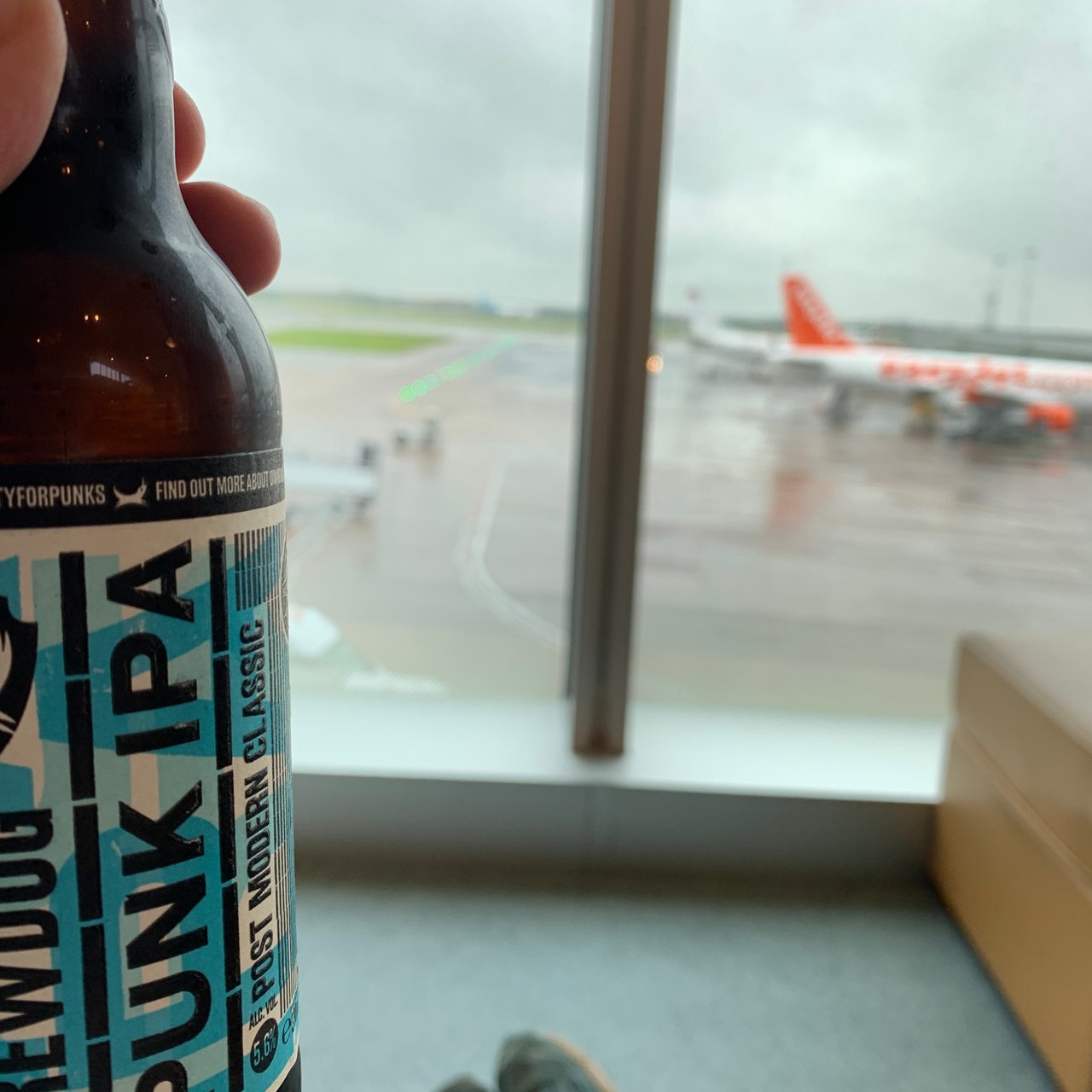 A BrewDog Punk IPA by the lounge window.