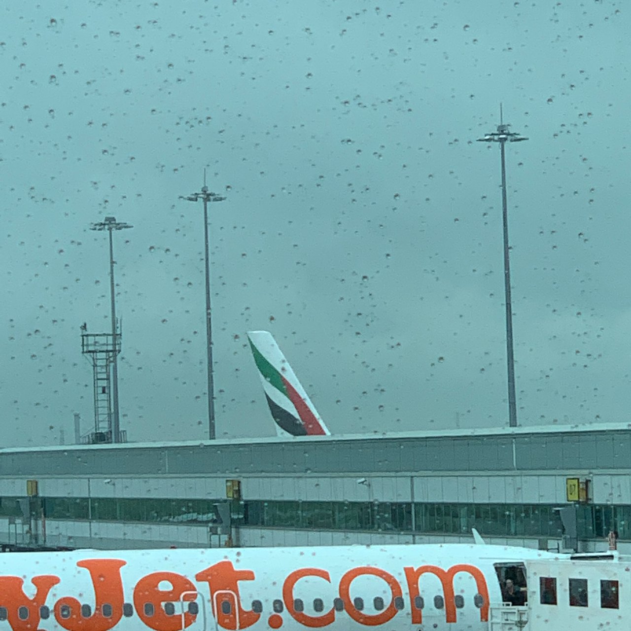 An Emirates A380's tail beyond an easyJet, in the rain.