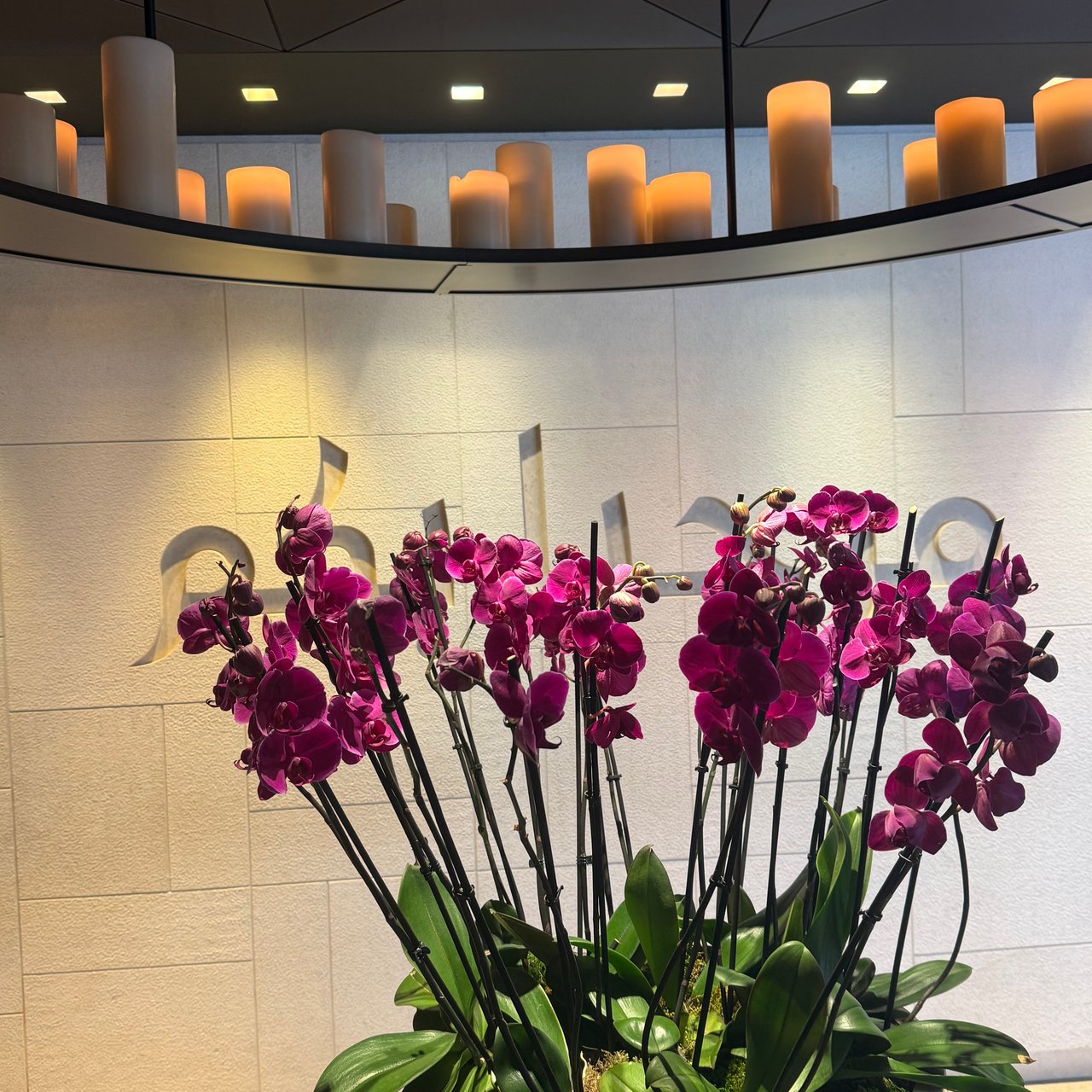 Orchids under the lounge's candle wall.