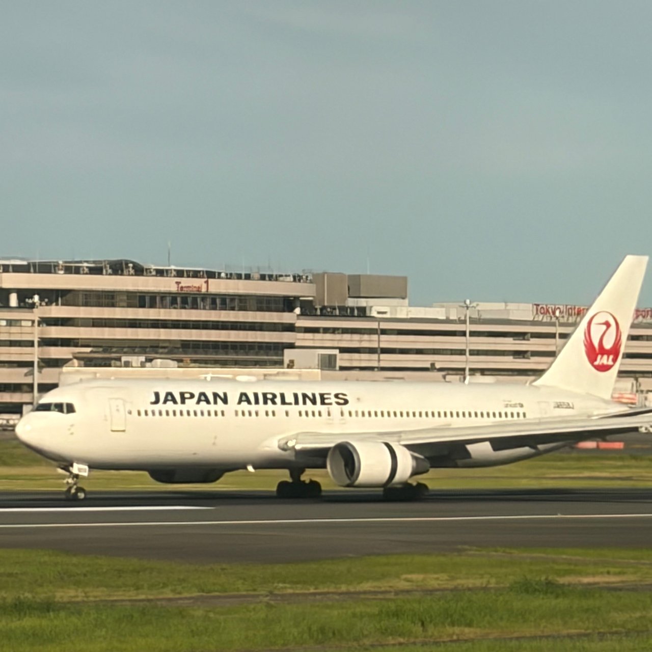 A JAL 767 at Haneda after landing.