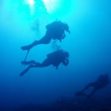 Divers in the blue
