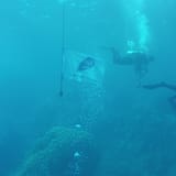 Down the line