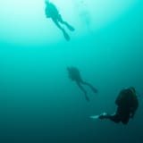Ascent