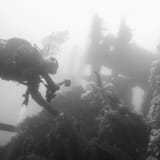 Diver on the wreck