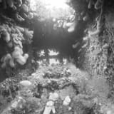 Inside