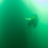 Into the green