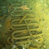 Coils