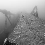 Looking up the Georg Thiele