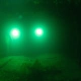 Two lights
